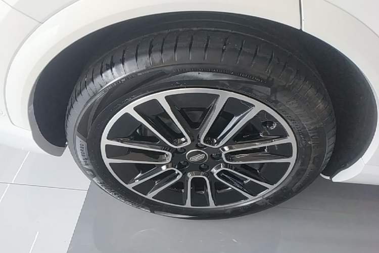 Used Hima H5 2025 Model Pure Electric Max Long Range Right Rear Wheel Hub