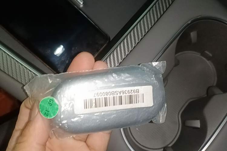Used Hima H5 2025 Model Range-Extending Max Vehicle Key