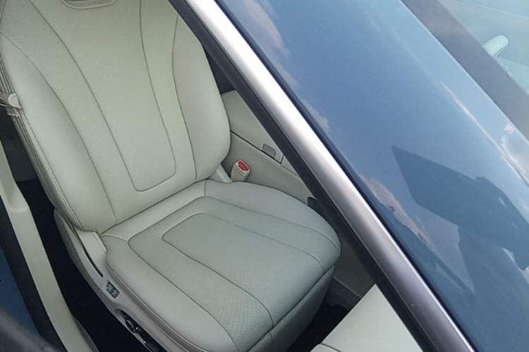 Used Hima Luxeed R7 2024 All-Electric 802 km Max Right Front Seat