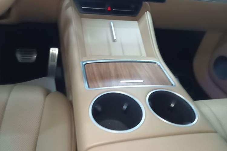 Used Hima Luxeed R7 2024 All-Electric 667 km Max Gear Lever