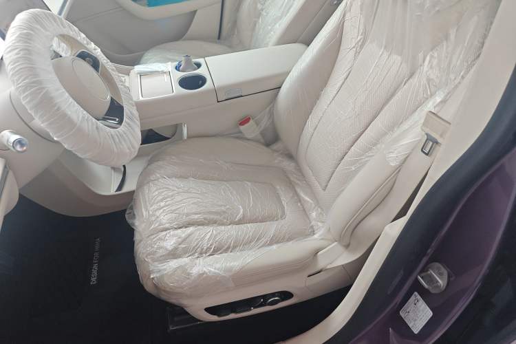 Used Hima Luxeed R7 2024 All-Electric 667 km Max Left Front Seat