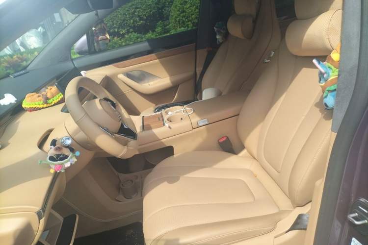 Used Hima Luxeed R7 2024 All-Electric 667 km Max Left Front Seat
