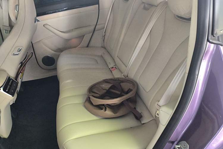 Used Hima Luxeed R7 2024 All-Electric 802 km Max Left Rear Seat