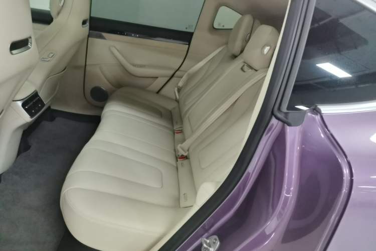 Used Hima Luxeed R7 2024 All-Electric 802 km Max Left Rear Seat