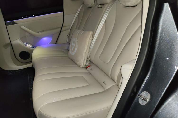 Used Hima Luxeed R7 2024 All-Electric 802 km Max Left Rear Seat
