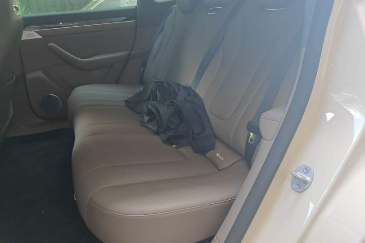 Used Hima Luxeed R7 2024 All-Electric 667 km Max Left Rear Seat