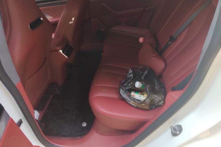 Used Hima Luxeed R7 2024 All-Electric 667 km Max Left Rear Seat