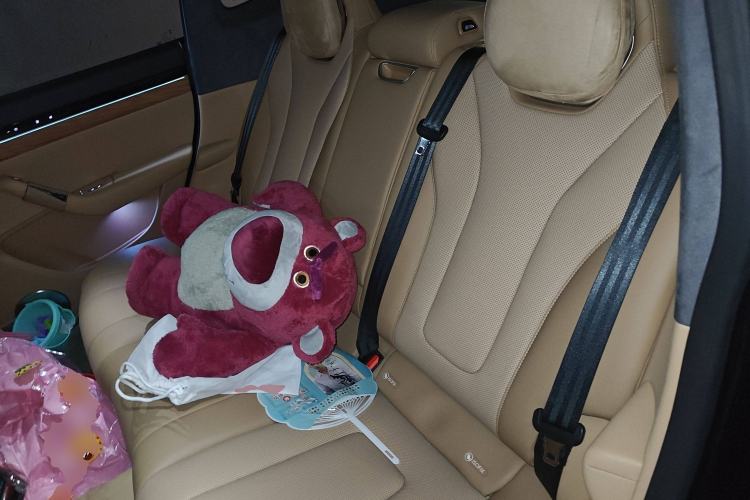 Used Hima Luxeed R7 2025 Extended-Range 251km Pro Left Rear Seat