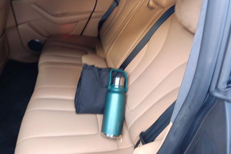 Used Hima Luxeed R7 2025 Extended-Range 331km Ultra Left Rear Seat