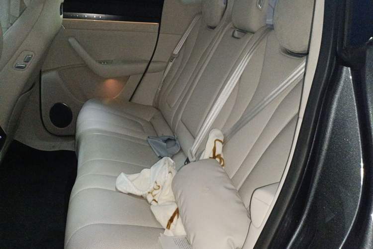 Used Hima Luxeed R7 2025 Range-Extended Version 251 km Max Left Rear Seat