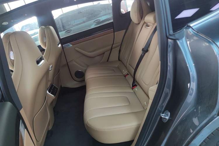 Used Hima Luxeed R7 2025 Extended-Range 331km Ultra Left Rear Seat