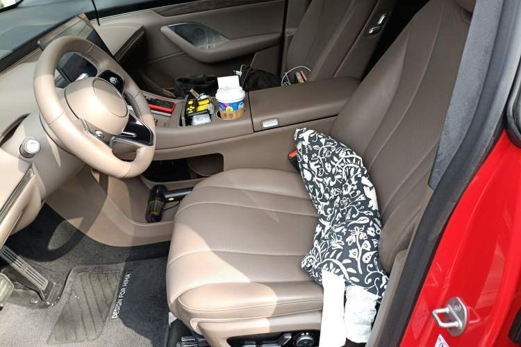 Used Hima Luxeed R7 2025 Range-Extended Version 251 km Max Left Front Seat
