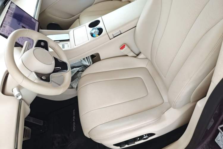 Used Hima Luxeed R7 2025 Extended-Range 331km Ultra Left Front Seat