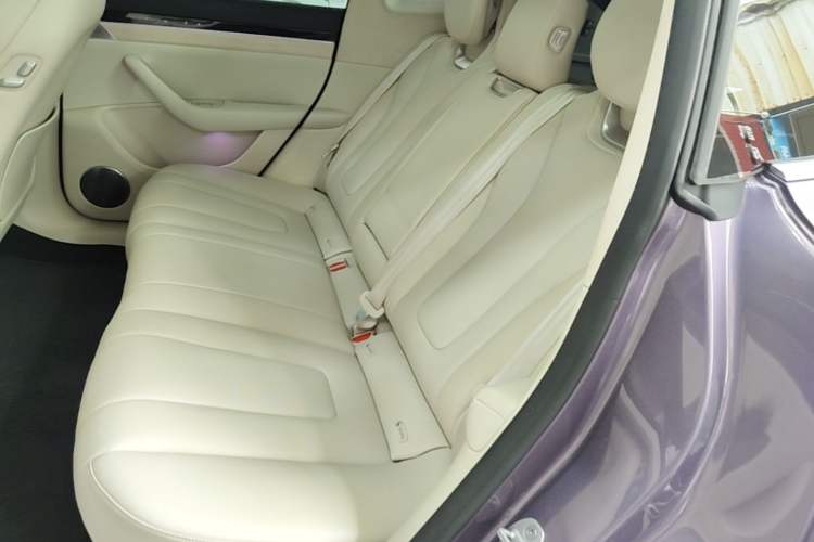 Used Hima Luxeed R7 2025 Extended-Range 331km Ultra Left Rear Seat