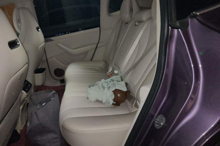 Used Hima Luxeed R7 2025 Range-Extended Version 251 km Max Left Rear Seat