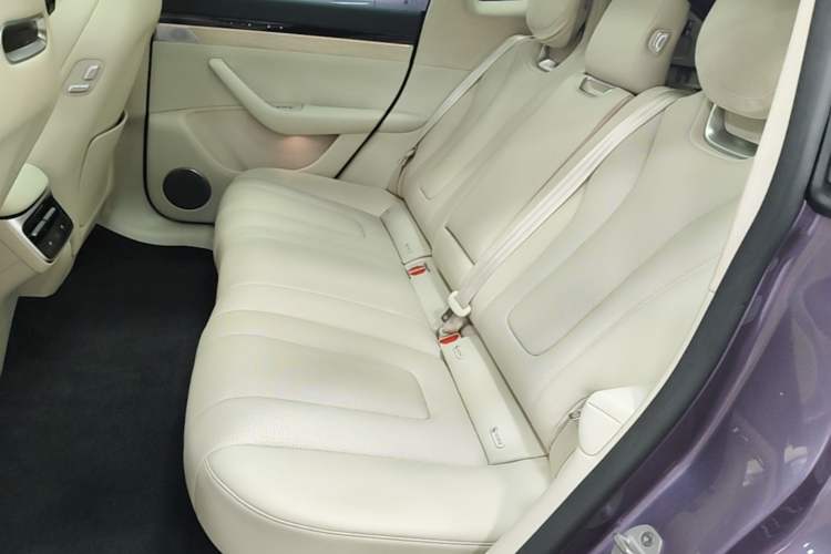 Used Hima Luxeed R7 2025 Range-Extended Version 251 km Max Left Rear Seat