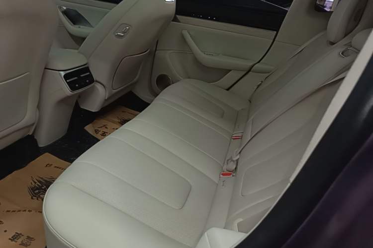 Used Hima Luxeed R7 2025 Range-Extended Version 251 km Max Left Rear Seat