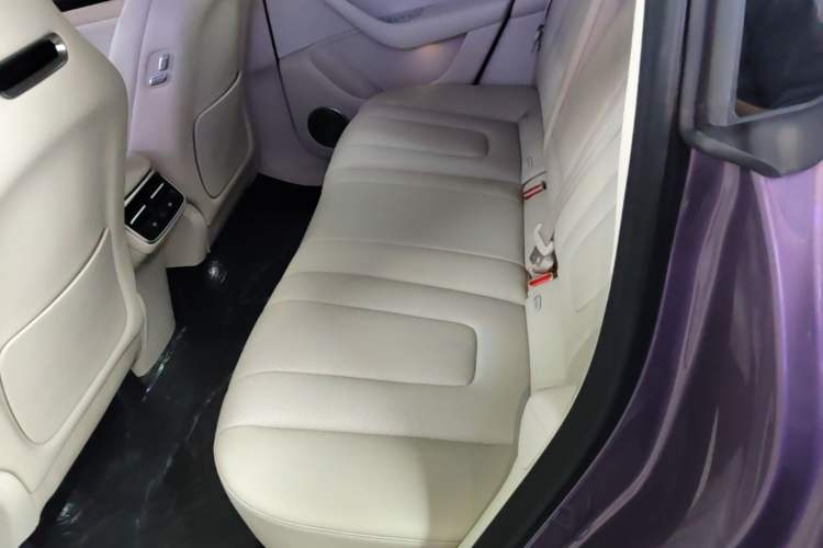 Used Hima Luxeed R7 2025 Extended-Range 331km Ultra Left Rear Seat