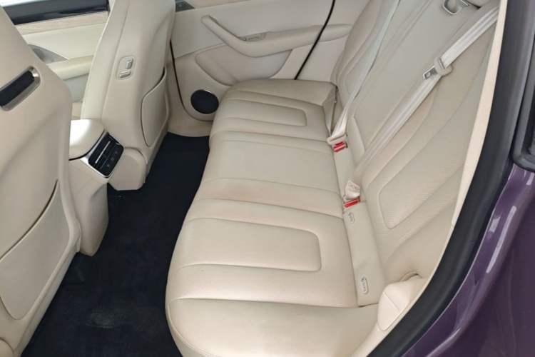 Used Hima Luxeed R7 2025 Extended-Range 331km Ultra Left Rear Seat