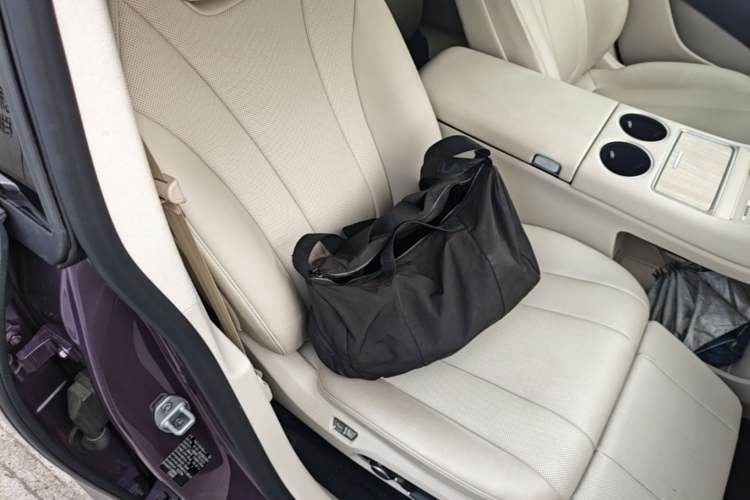 Used Hima Luxeed R7 2025 Extended-Range 331km Ultra Right Front Seat