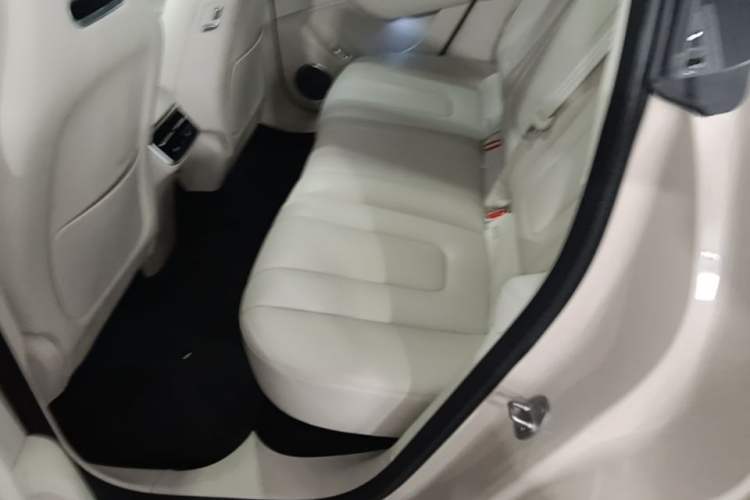 Used Hima Luxeed R7 2025 Range-Extended Version 251 km Max Left Rear Seat