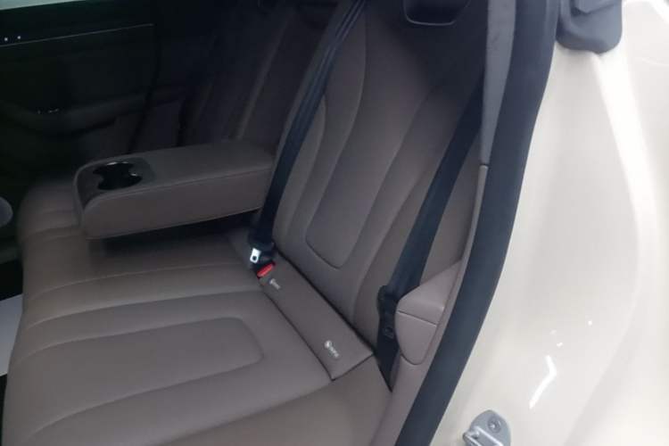 Used Hima Luxeed R7 2025 Range-Extended Version 251 km Max Left Rear Seat