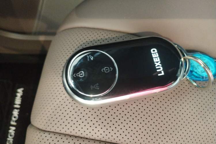Used Hima Luxeed R7  Interior 1