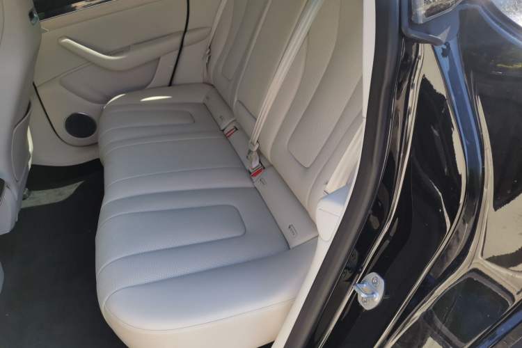 Used Hima Luxeed R7 2026 Model Range-Extending Max Left Rear Seat