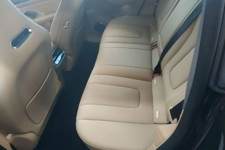 Used Hima Luxeed R7 2026 Model Range-Extending Max Left Rear Seat