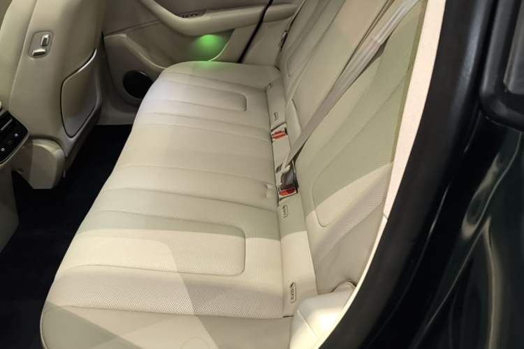 Used Hima Luxeed R7 2026 Model Pure Electric Max+ Left Rear Seat