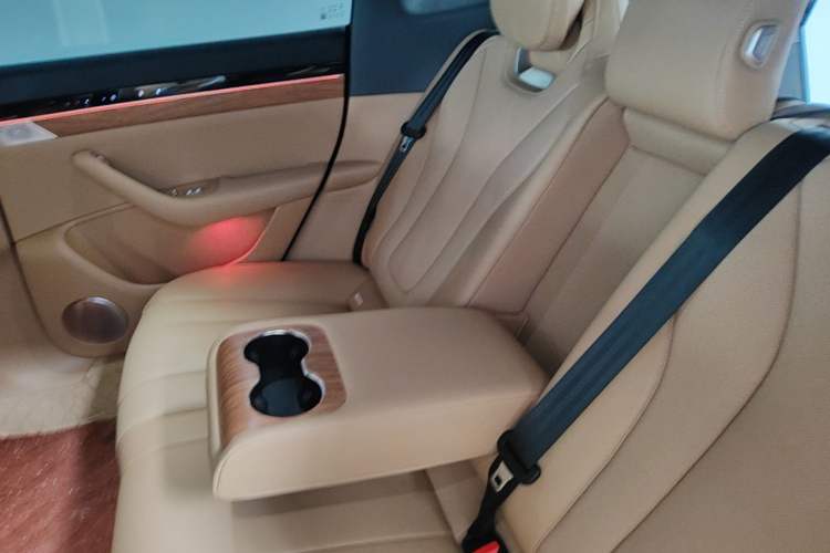 Used Hima Luxeed R7 2026 Model Pure Electric Max+ Left Rear Seat