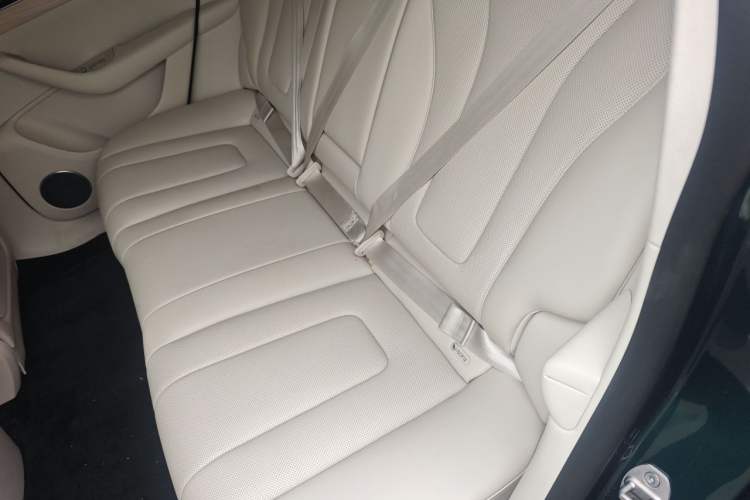 Used Hima Luxeed R7 2026 Model Range-Extending Max Left Rear Seat