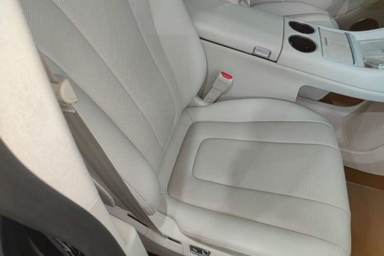 Used Hima Luxeed R7 2026 Model Pure Electric Max+ Right Front Seat