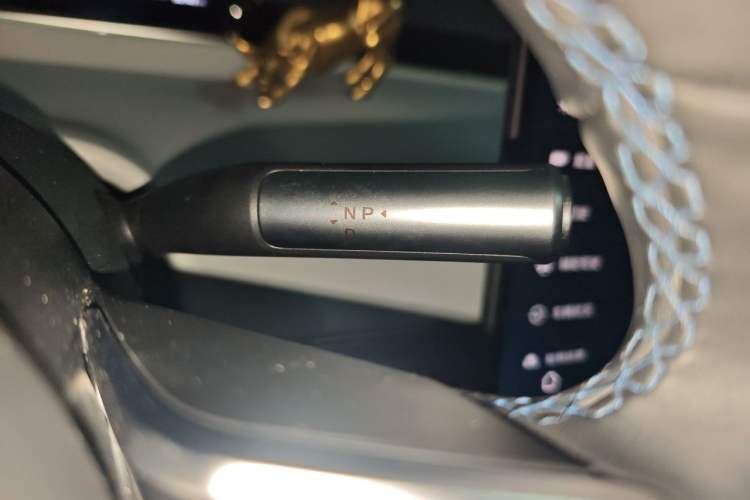 Used Hima Luxeed S7 2024 Max RS Gear Lever