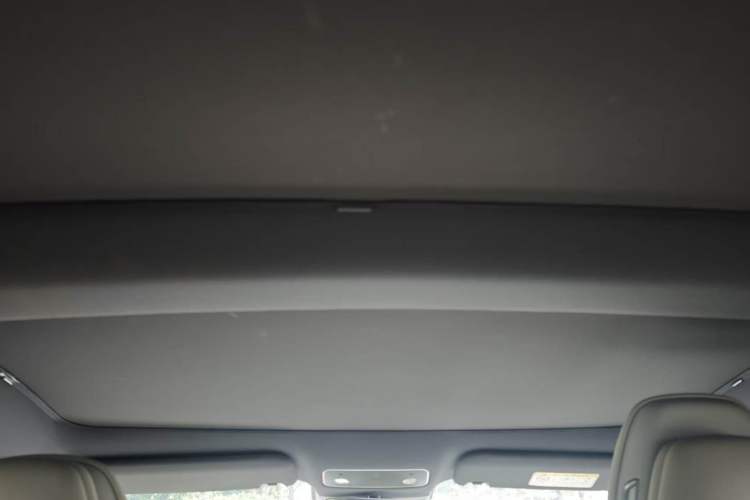 Used Hima Luxeed S7 2024 Pro Rear-Drive Long-Range Version Headliner