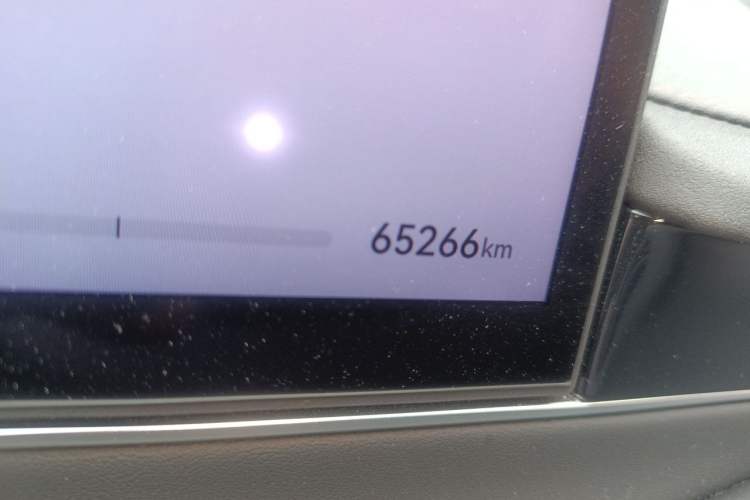 Used Hima Luxeed S7 2024 Max Odometer Close Up