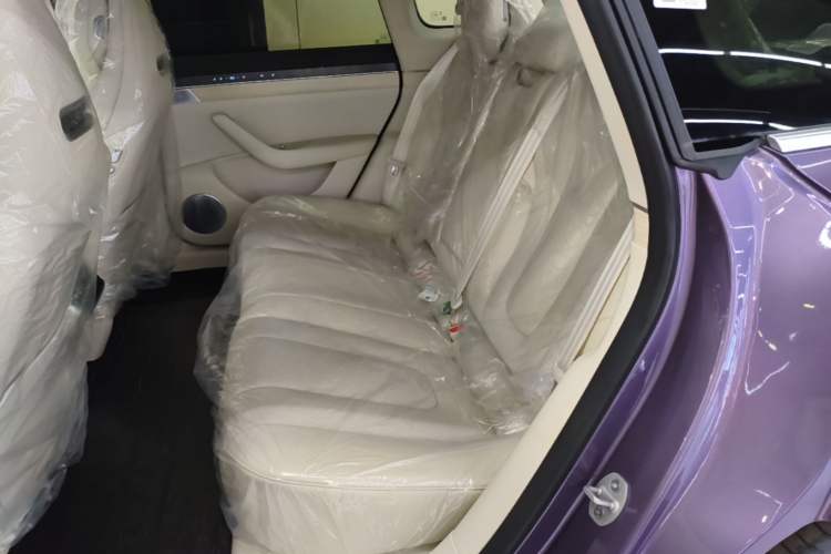 Used Hima Luxeed S7 2024 Pro Model Left Rear Seat