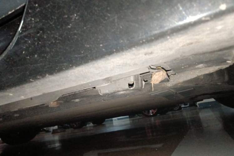 Used Hima Luxeed S7 2024 Max RS Chassis Front Right
