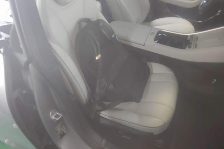 Used Hima Luxeed S7 2024 Pro Model Right Front Seat