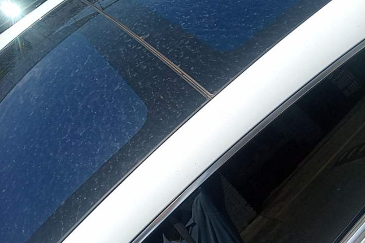 Used Hima Luxeed S7 2024 Max+ Rear-Drive Ultra-Range Intelligent Driving Edition Roof