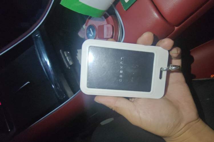 Used Hima Luxeed S7 2024 Pro Model Vehicle Key