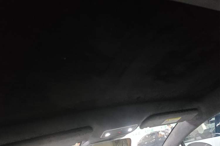 Used Hima Luxeed S7 2025 855 km Max Headliner
