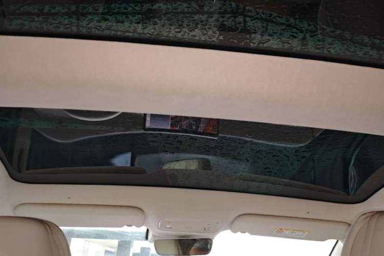 Used Hima Luxeed S7 2025 855 km Max Headliner
