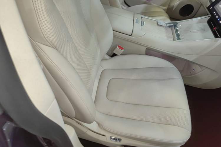 Used Hima Luxeed S7 2025 705 km Pro Right Front Seat