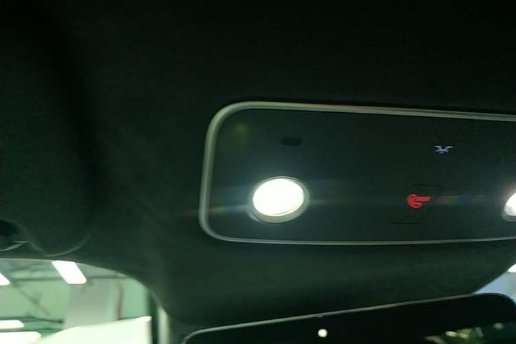 Used Hima Luxeed S7 2025 855 km Max Headliner