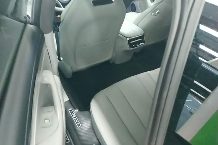 Used Hima Luxeed S7 2025 855 km Max Left Rear Seat