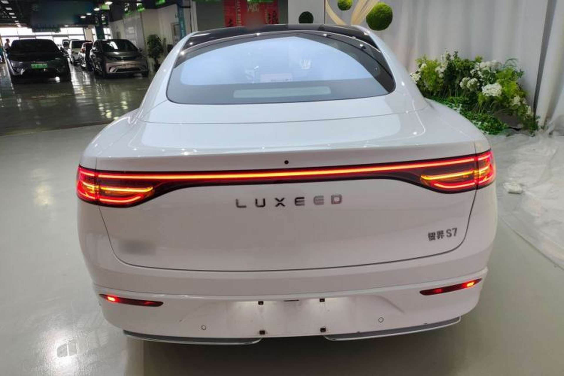 Used Hima Luxeed S7 2025 855 km Max Rear