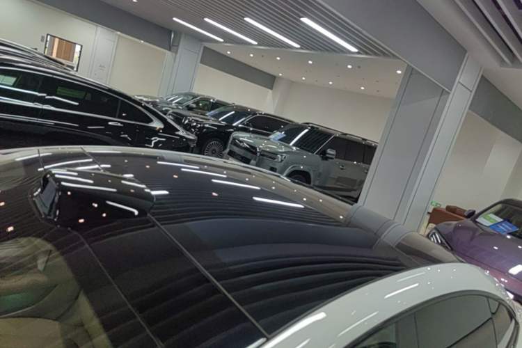 Used Hima Luxeed S7 2025 705 km Pro Roof