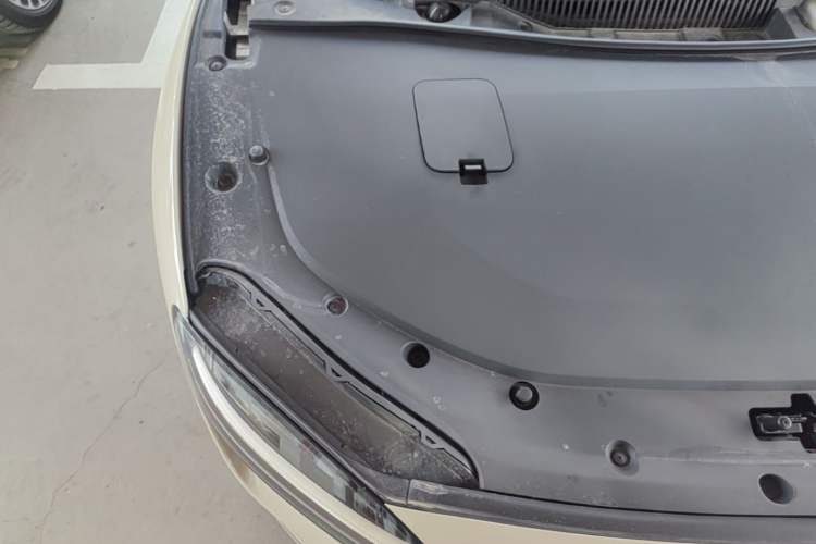 Used Hima Luxeed S7 2025 855 km Max Engine Bay Right