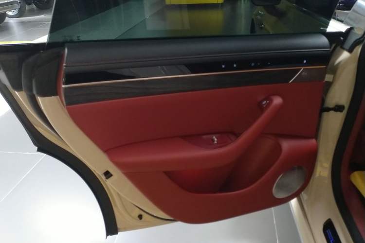 Used Hima Luxeed S7 2025 705 km Max Left Rear Door Interior
